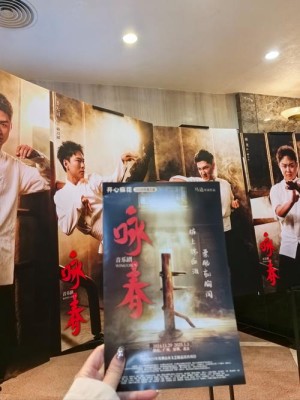 咏春传奇分集剧情详细介绍第16集