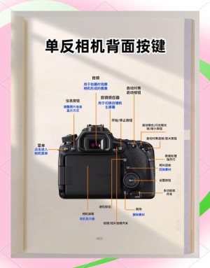 相机照片恢复方法和技巧大全【图文】