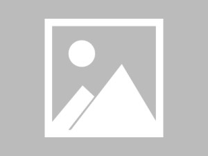 沈义人被打脸OPPOReno3系列线上销量惨白
