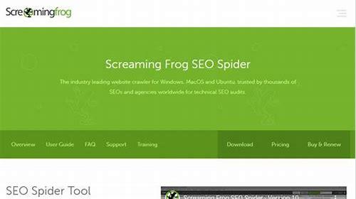 SEO蜘蛛精：提升网站排名的神秘利器与应用之道