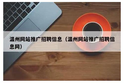 温州SEO优化全攻略：提升网站排名与流量的实战技巧